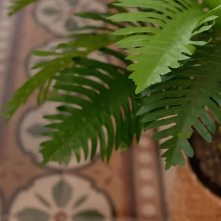 شقة Casalore باري